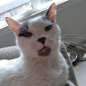 Meet your Posher, Norah